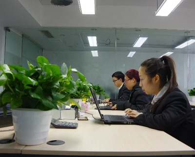 成都红枫居无忧房地产信息咨询 专业商务信息咨询的领航者